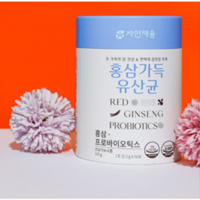 2박스( 100포) 홍삼에빠진 유산균 면역챙기기, 100g, 2개