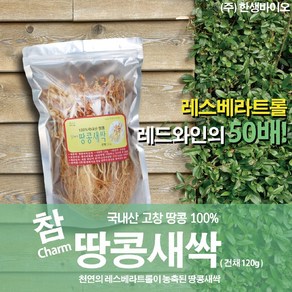 국내산 땅콩새싹 건채 100g 라스베라트롤 함유