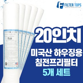 필터탑스 20인치 미국산 에버퓨어 E-20 전처리 침전프리필터, 02_20인치 미제프리필터 5개, 5개