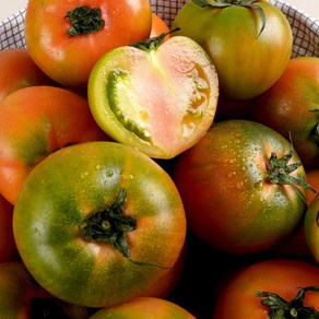 [농가신선] 당일수확 부산 대저토마토 특품, 1박스, 1kg ( 중과 M )