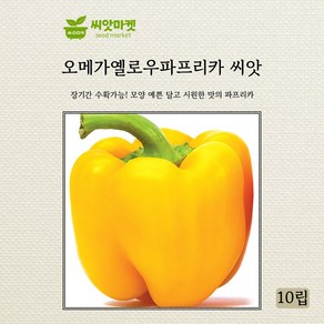 다농 오메가옐로우파프리카 씨앗 10립, 1개