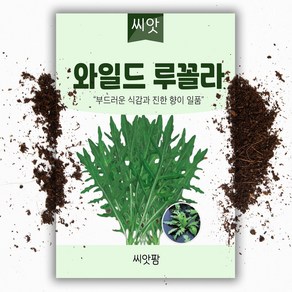 헬프팜 로켓샐러드 1000립 아람종묘 와일드루꼴라 씨앗