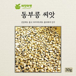 아람종묘 동부콩 씨앗 30g, 1개