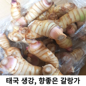 신선한 태국 생강 생 갈랑가 령 1kg 10kg 갈랑갈 양강근 동남아요리 재료 태국 베트남 채소, 1개