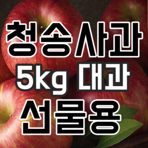 청송사과선물세트 5kg 대과 24년 햇사과 부사, 1박스, 청송사과선물세트 5kg 대과 (12과~14과)