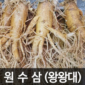 청명네이처 금산인삼 수삼(원수삼) 왕왕대 (1kg) (3~4뿌리), 1개, 1kg