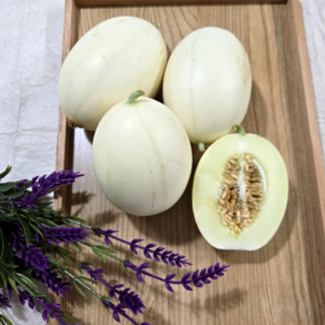 [당일수확]산지직송 프리미엄 고당도 설향 멜론, 1개, 2kg(3~5과)