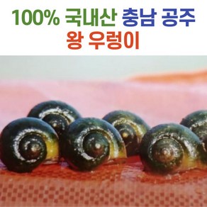 청정 공주 왕 논 우렁이 살 1kg, 급냉_왕우렁이살 1kg, 1개