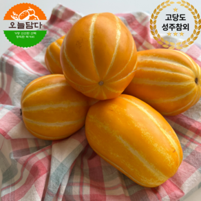 [오늘담다] 당도보장 성주 설탕참외 산지직송 참외 중소과, 1박스, 선물용3kg