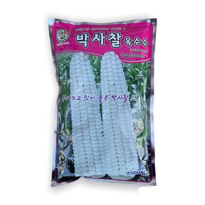박사찰 옥수수 씨앗 2500립 [25년포장] 대용량 옥수수 씨앗 장원찰1호 종자, 1개