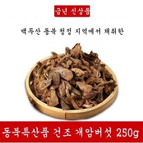 야생 백두산 건조 개암버섯 밤버섯 특산품 250g 고급식재료 약용버섯 EMS특송, 1개