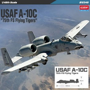 1/48 미공군 A-10C 전투비행대 플라잉타이거즈 프라모델, 1개