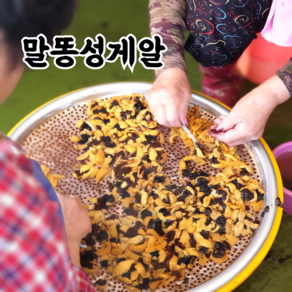 산지직송 포항 성게알 우니 보라성게 500g 1kg, 자연산보라성게알_100g, 1개