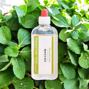 [더위치] 유기농 페퍼민트워터 100ml 페퍼민트잎수 Mentha Piperita Peppermint Leaf Water