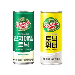 올따옴기획 캐나다드라이 진저에일 250ml*12개+토닉워터 250ml*12개