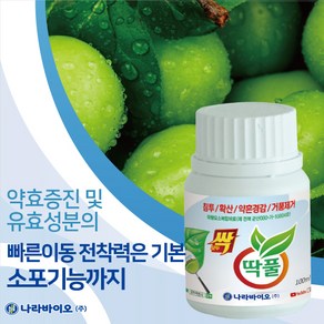 [식물나라스토어] 모두싹 500g 1kg 프리미엄 골드 칼마 아미플 균 규산왕 싹충 싹충골드 딱풀 나라바이오 사은품상추씨앗 약수저, 1개, 100ml