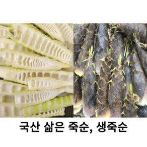 국산 죽순 담양 유기농 삶은 죽순 500g 1kg 국내산 생죽순 삶은 죽순 담양 참죽순 삶아서 진공포장한 죽순 생죽순 건강음식 다이어트, 1개