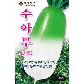 수아무 무우 씨앗 종자 김장무 가을무 씨 무씨 10g, 1개