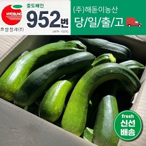 해돋이농산 국내산 쥬키니호박 주키니호박 못난이호박 3kg 5kg 10kg