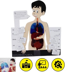 5인세트 인체구조 관찰 인체만들기 생명과학키트 놀이 원리 교구 실습