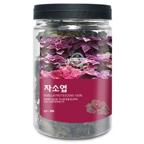 자소엽(국산) 20g(통) 차조기 자소엽 차 건강 한방 약재, 자소엽[국산] 20g[통], 1개