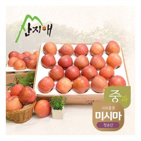 알뜰사과중과 4.5kg2박스 30-42과, (국내배송) 산지애 알뜰사과(중과) 4.5kg*2박스, 2개