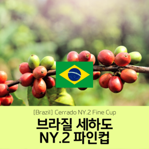 [브라질] NY2 FC 세하도 세웅지씨 산지 직수입 생두 1kg, 1개