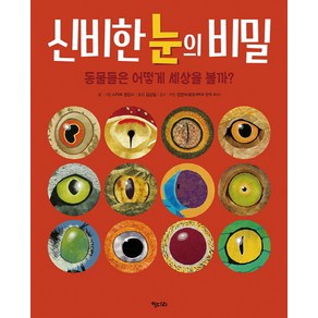 신비한 눈의 비밀:동물들은 어떻게 세상을 볼까?