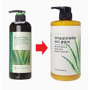 히솝 바디케어 현미 엔 알로에 베라 바디클렌저 800ml, 1개