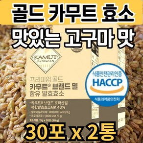 골드카무트 발효 효소 엔자임 가루 식이섬유 프로틴 탄수화물 분해 아밀라아제 카뮤트 카무트 호라산밀 곡물 분말 enzyme 역가수치 프로테아제 유산균 성인 남자 여성 추천, 2개, 90g