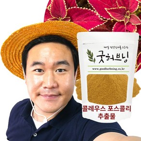 콜레우스 포스콜리 추출물 분말 가루 250g 굿허브닝, 1개