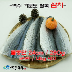 여수 거문도 삼치 몸통만 24cm / 280g 내외 5마리, 1세트