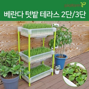 플라팜 새싹보리 씨앗키우기 실내 화분 베란다텃밭 재배기, 화이트, 2단