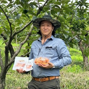 국대 감말랭이 300g 3팩묶음 곶감말랭이 생산자 직판