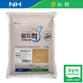 전남 진도 24년산 국산 농협 무농약 기장 1kg 찰 기장 쌀 기장밥, 1개