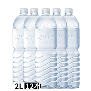 제주 삼다수 2리터(무라벨), 12개, 2L