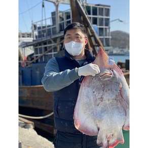 [영하2도 저온숙성] 신선보장 국산홍어 흑산도홍어 500g 1kg 홍어애 서비스 삭힌 삼합용, 흑산도홍어 500g﻿(+홍어애), 강한삭힘, 1개