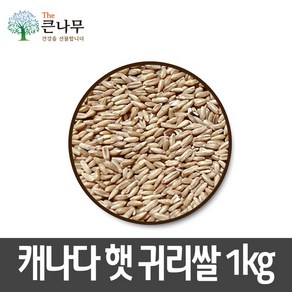 The큰나무 캐나다/호주 귀리 5kg 햇 귀리쌀, 1kg, 1개