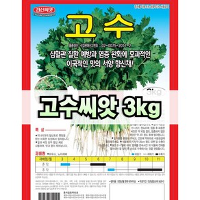 고수씨앗 3kg 대용량 코리앤더 파종용 종자 경신종묘, 1개