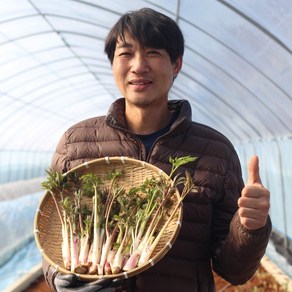 국내산 강원도 눈꽃땅두릅 산지직송, 1개, 400g