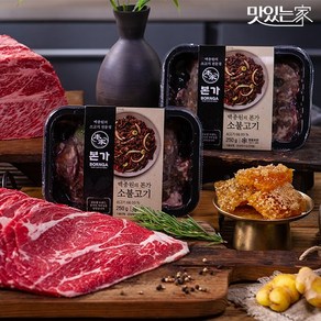 본가 소불고기 250g x 10팩