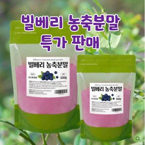 빌베리농축분말 500g 빌베리효능 오스트리아산, 1개