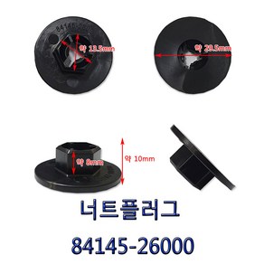 DJ-97/84145-26000/원형육각 대/1봉30개입/검정색/머드가드너트플러그/휠가드핀/육각너트/육각핀대/너트플러그, 1개