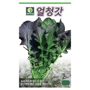 다농 얼청갓 씨앗 30g, 1개