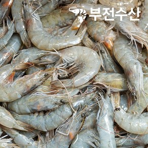 부전수산 냉동 신선한 자연산 민물새우 1박스 업소용 8kg (400g x 20팩) 생새우 새우깡 민물새우깡 새우탕 민물새우탕 육수재료 해장국재료