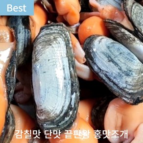 [지금이제철!] 달큰한 돼지가리조개 홍맛조개 맛조개 홍맛 조개 캠핑 조개구이, 1세트, 남해 홍맛조개 10마리 (급랭)