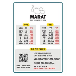 마우스 소 벌크 30마리 마리당 1 100원 12-16g / 화요일 주문 마감 수요일 발송 배송비 별도 결제 필수 / 마렛트 냉동쥐 뱀먹이 냉동마우스 파충류 용품, 아이스포장, 1개, 1L