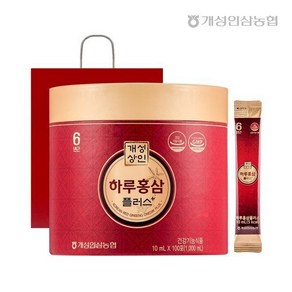 개성상인 하루홍삼플러스 10ml 100포+쇼핑백, 1l, 1개