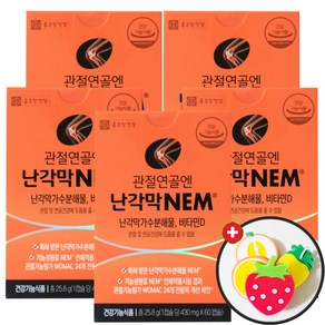 종근당건강 관절연골엔 난각막NEM (EX사은품1종 수세미포함), 5박스, 60정