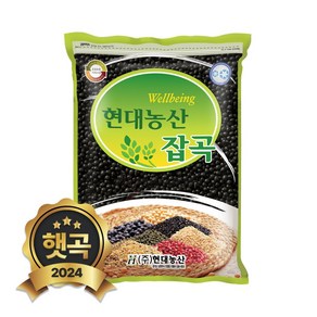 현대농산 국산 쥐눈이콩 약콩 2kg, 1개